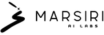 Laboratori di intelligenza artificiale Marsirius