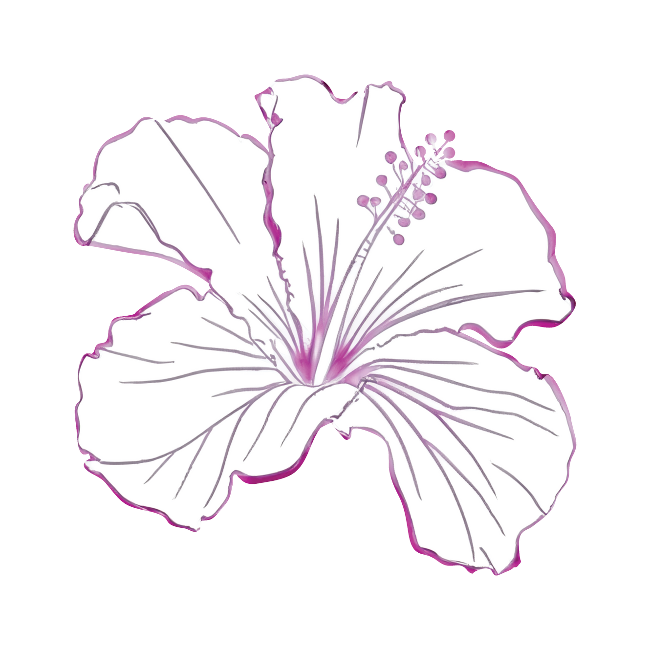 Hawaiian B Natural Farms photo 1 in Honokaa