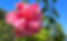 IMG_2251_edited.jpg