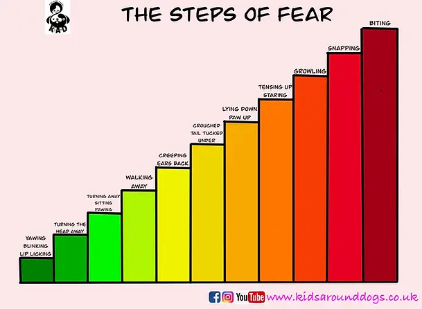 The_steps_of_fear.webp