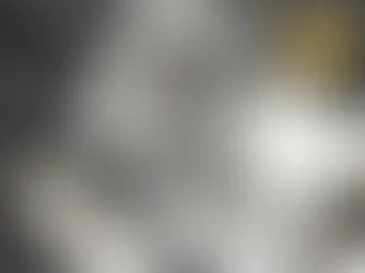 Conflitos na Empresa Familiar