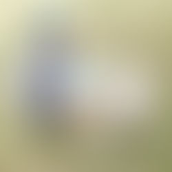 Snap shoot for Pallet Collection