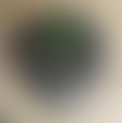 Glass bottle x cement