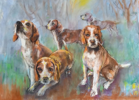 HUBERT-MOUNEY Martine -S,  une meute à lui seul - Pastel - H 50 x L 70 cm.jpg