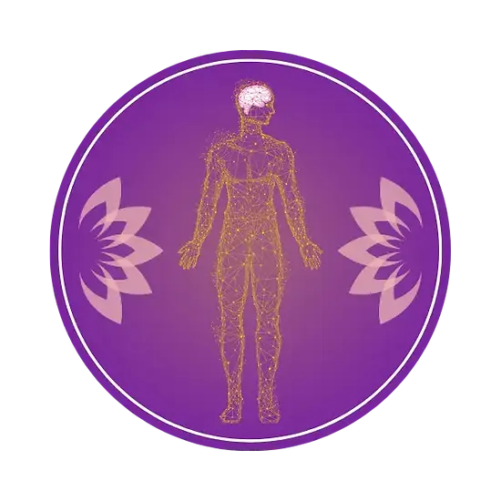 Banner Assets - Website - _AVV (2)