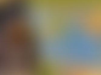 Lessons Learned From Blue Oaks