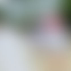 Camptivated: Summer Camp Report