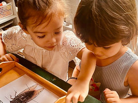 The Garden as an Extension of the Montessori Classroom