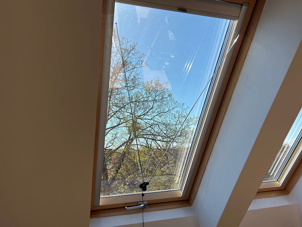 View through a skylight showing a tree with budding leaves against a clear blue sky. Sunlight casts shadows on the window frame, creating a serene mood.