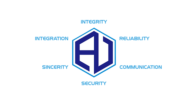 Acelogy's core values