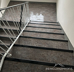 WhatsApp Image 2025-10-21 at 12.50.31.jpeg