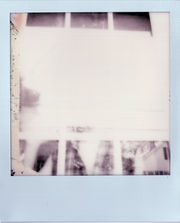Scan 176.jpeg
