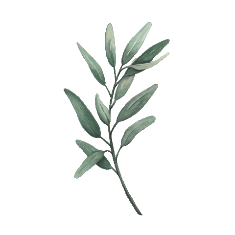 plant.gif