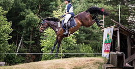 Vielseitigkeitsturnier in Handewitt am 25.-26.04.2026