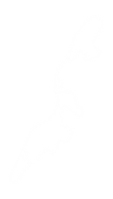 parcours_10km_symbolique_blanc_transparent.png