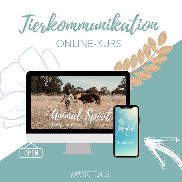 Kurs.jpg