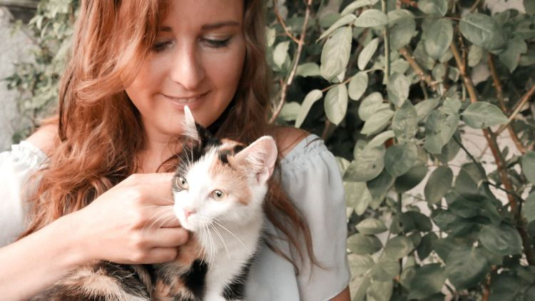 TIPPS FÜR KATZENFREUNDE