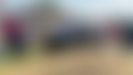 Food, Civil Supplies and Consumer Affairs Minister Lal Chand Kataruchak takes stock of wheat procurement operations at Sarna Dana Mandi initiates procurement process