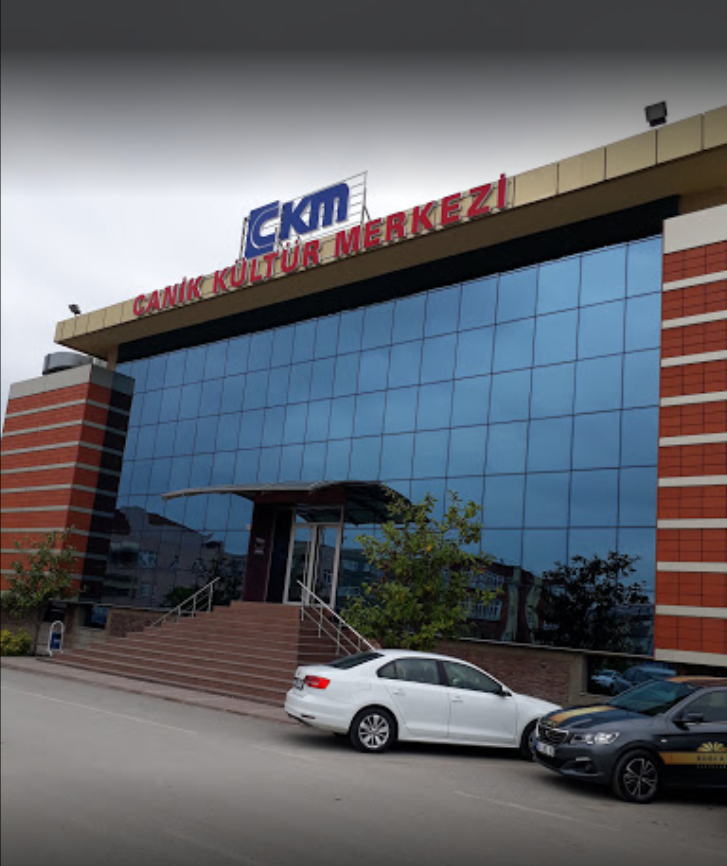 CKM1