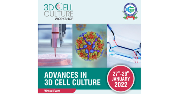 Screenshot 2025-07-18 120815 (1).png