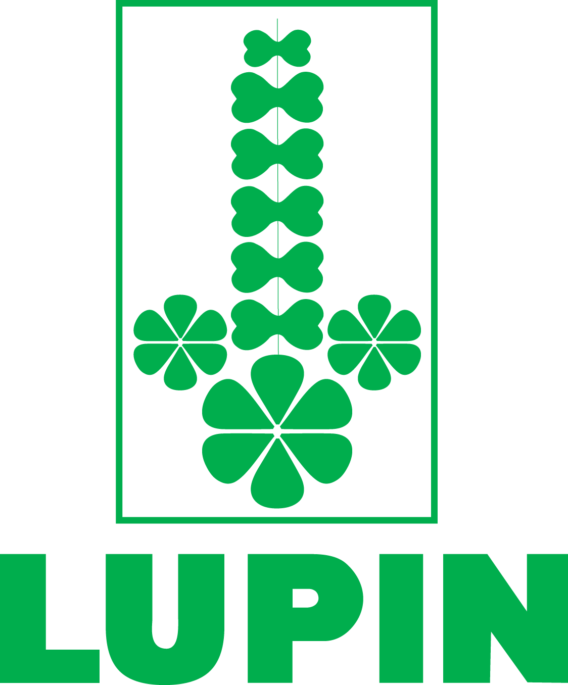 Lupin