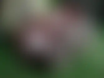 Texas A&M Seemingly Responds To NCAA Memo On NIL