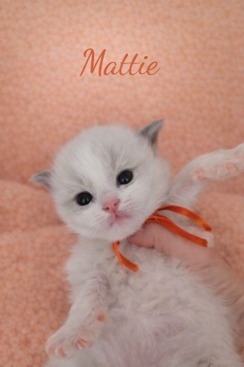 Mattie at 3 weeks old
