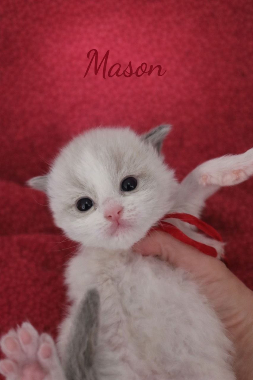 Mason at 3 weeks old