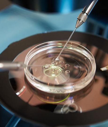fecundacion in vitro.jpg