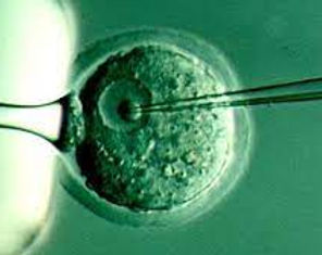 Clonación terapéutica.jpg