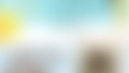 【11月の月あそび受付開始】星降る森のクリスマスアドベントリース