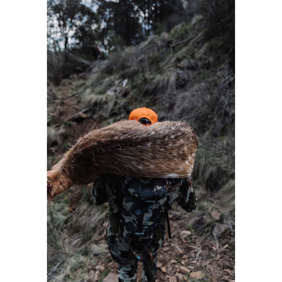 Mark LaBrooy carrying a wild deer in NSW