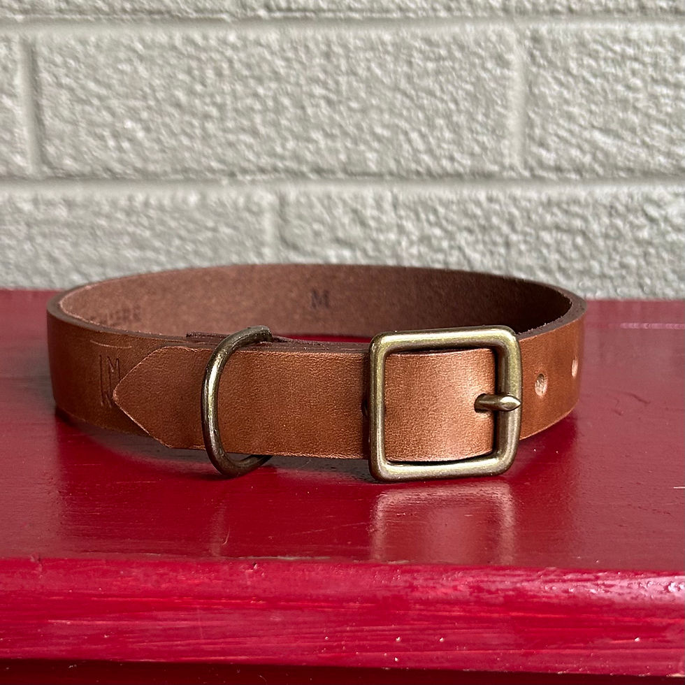 Thumbnail: Leather Dog Collars