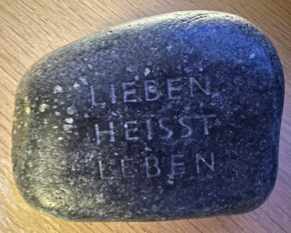 Zwischen Innenwelt und Außenblick