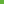 Westonbirt Dogs Background.png