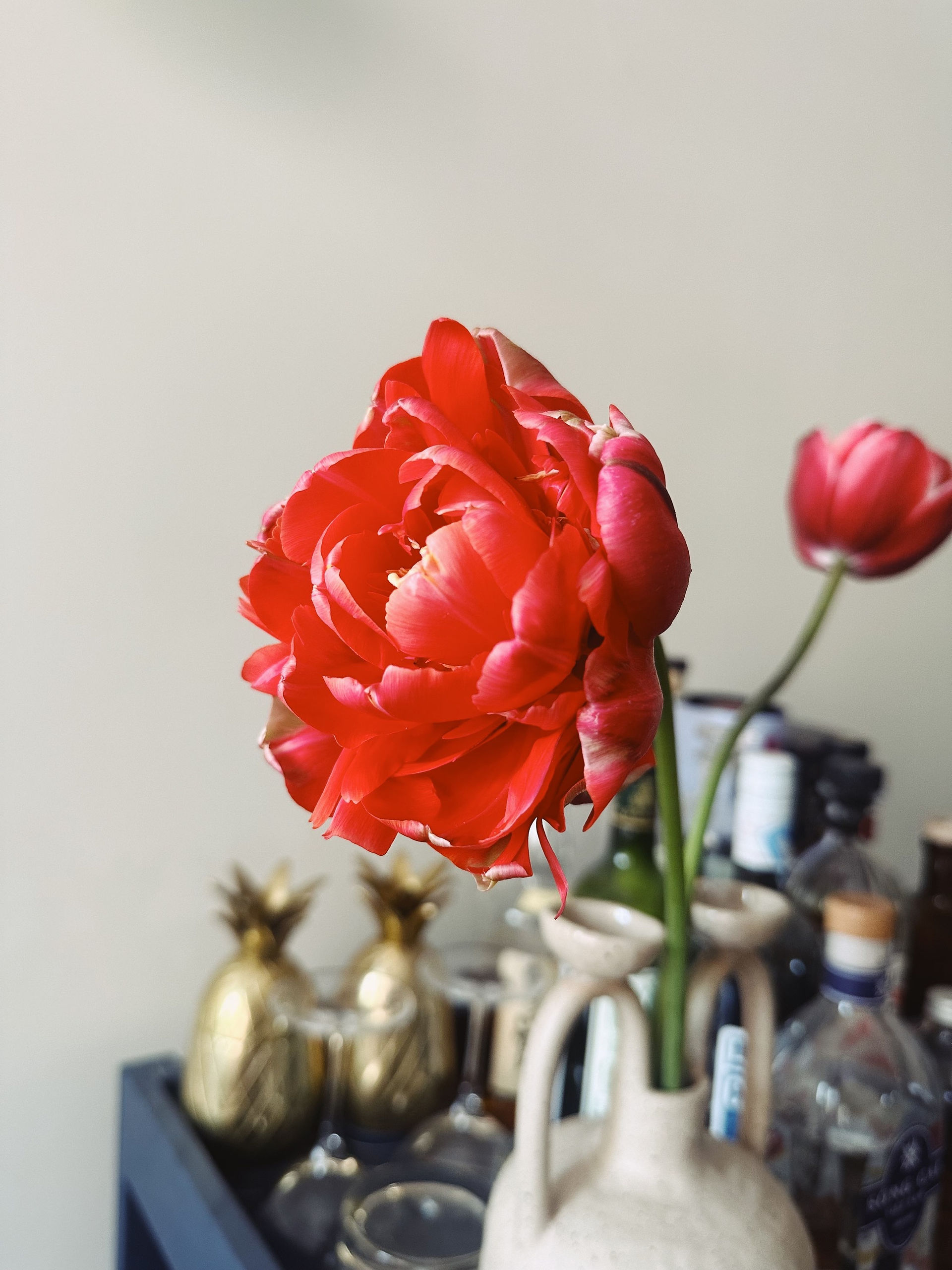 Tulip Renown Unique in foreground sitting in a tan ceramic vase. Background is a navy bar cart filled with various glassware, bottles, and two brass pineapples
