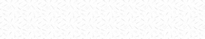 Design element usedin th header