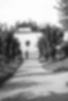 F99_008_web