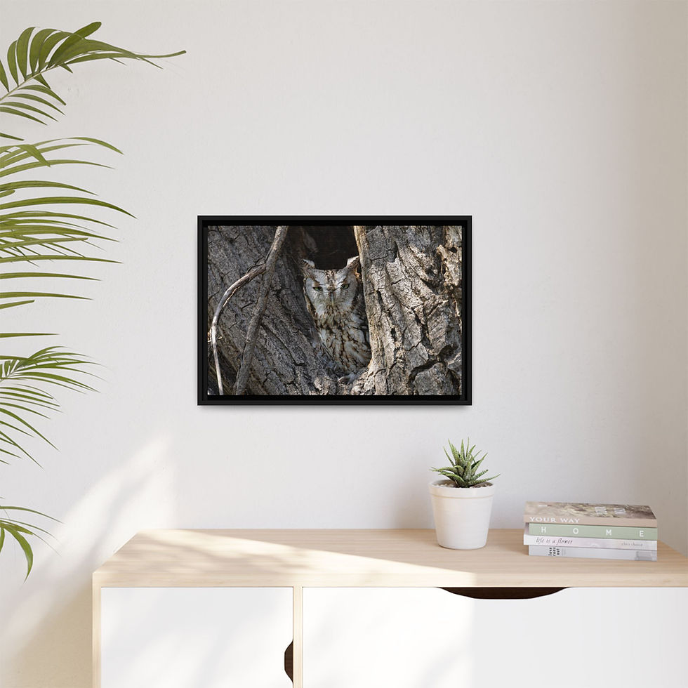 Thumbnail: 24x16 Matte Canvas, Framed "Feathers of Tree Bark"