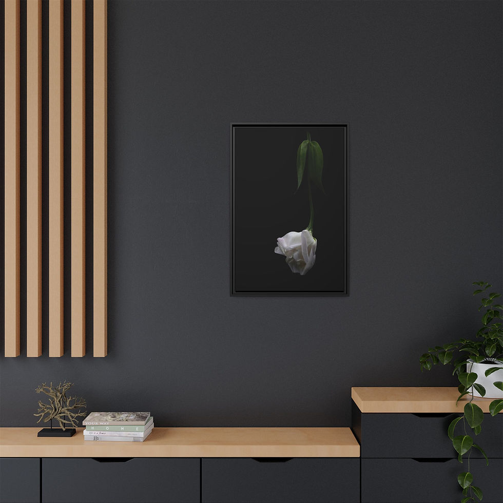 Thumbnail: 20x30 Matte Canvas, Framed "Descent"