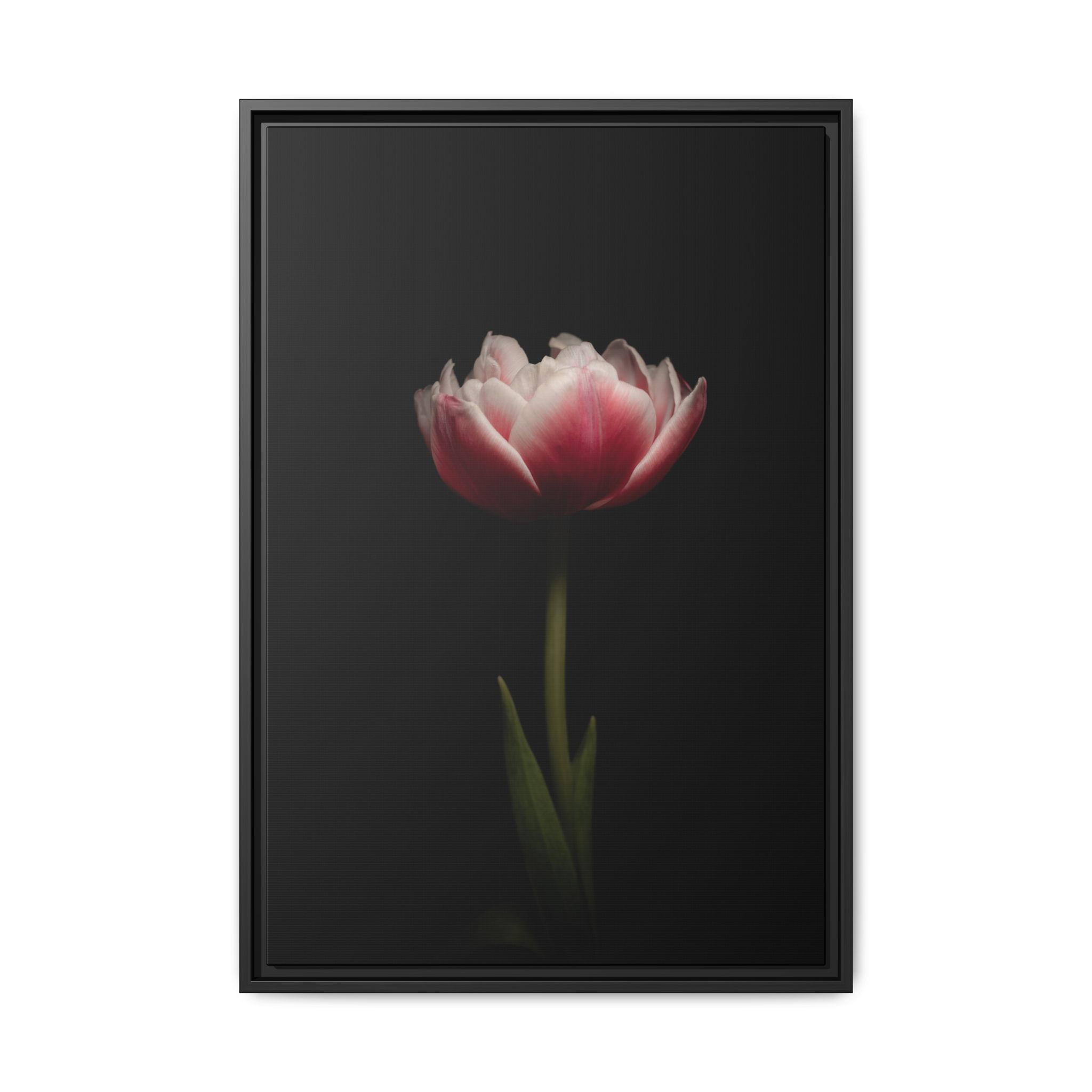 20x30 Matte Canvas, Framed "Becoming"