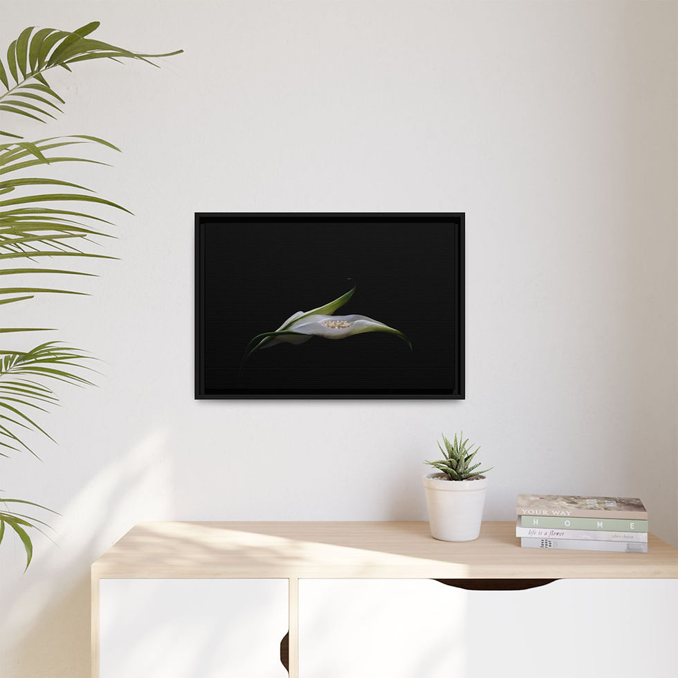 Thumbnail: 24x16 Matte Canvas, Framed "Virtue"