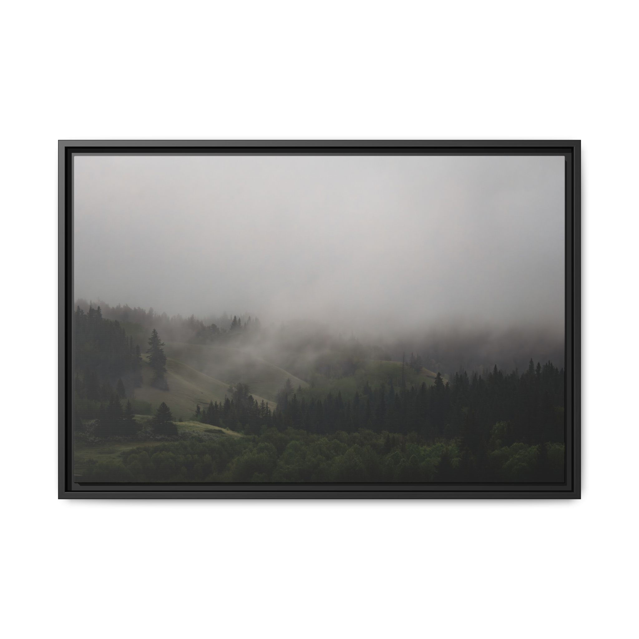 30x20 Matte Canvas, Framed "Lost"