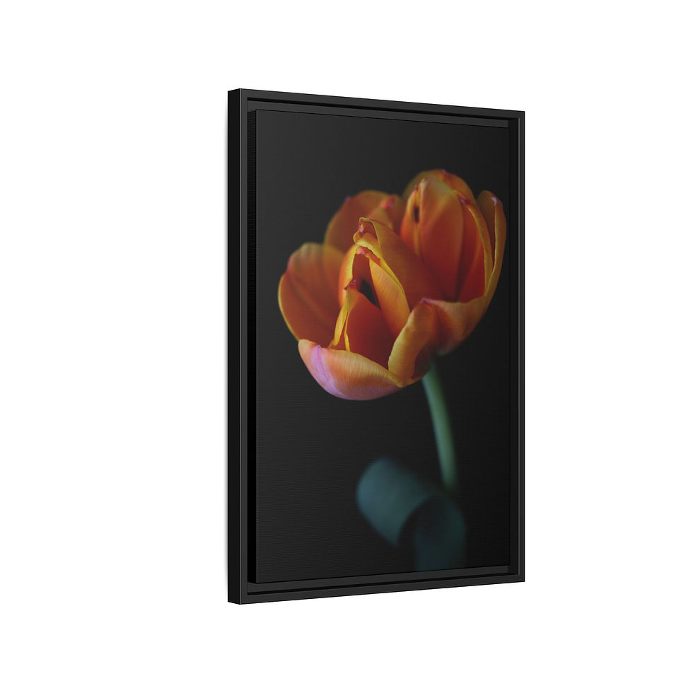 Thumbnail: 16x24 Matte Canvas, Framed "Emerging Clarity"