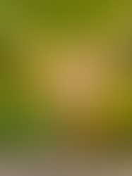 葡萄酒界的變色龍 - Chardonnay 夏多內/霞多麗