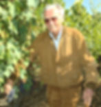 Biondi Santi