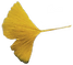 5836833153828898637_edited_edited_edited