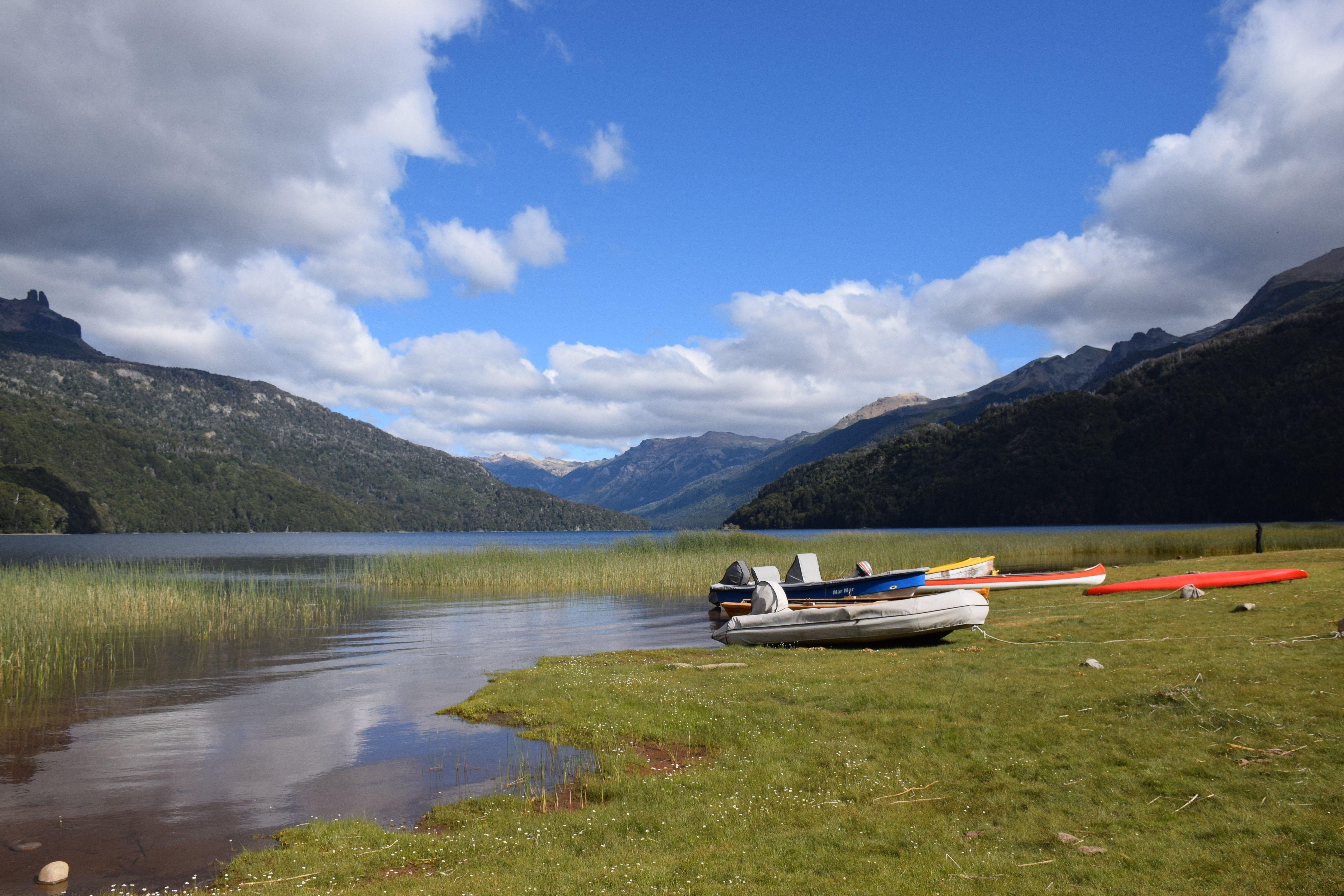 Dalia's favorites 29#