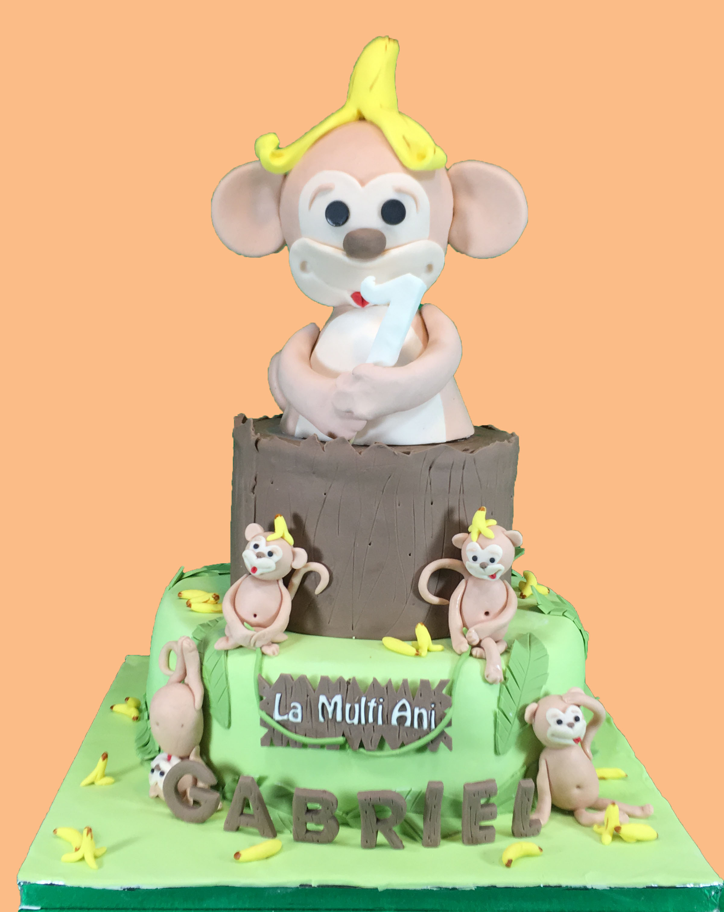 Monkey world