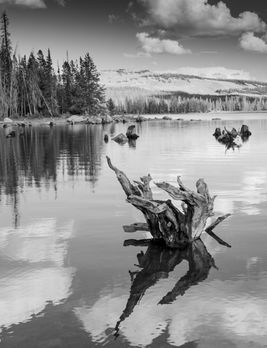 Tranquil Matthew Jett Wilson Photography.jpg